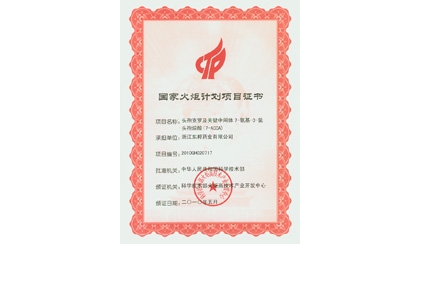 国家火炬妄想项目证书